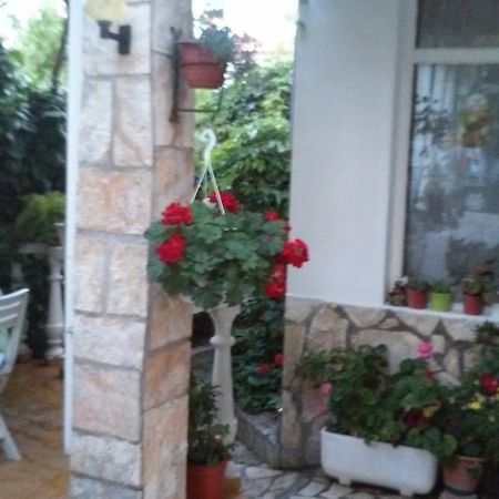 Apartment Gabric Palit Oda fotoğraf